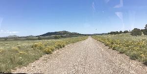 IMG_0013.jpg