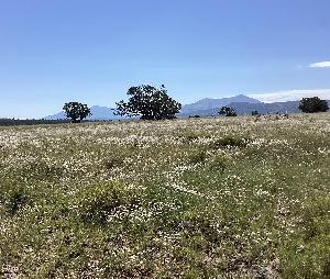 IMG_0014.jpg