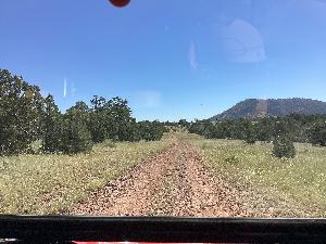 IMG_0015.jpg