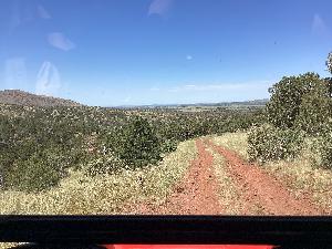 IMG_0017.jpg