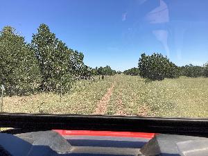 IMG_0019.jpg