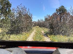 IMG_0020.jpg