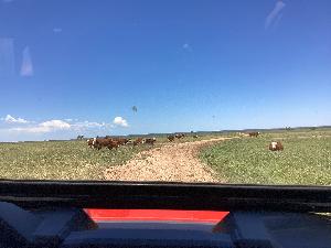 IMG_0024.jpg