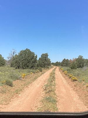 IMG_0029.jpg