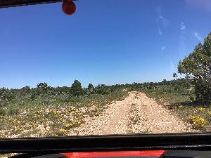 IMG_0031.jpg