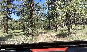 IMG_0033.jpg