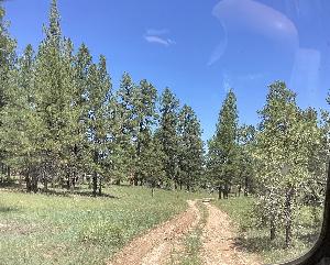 IMG_0035.jpg