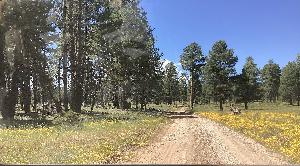 IMG_0045.jpg