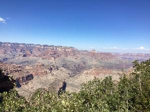 IMG_0056.jpg