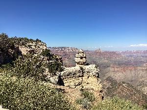IMG_0075.jpg