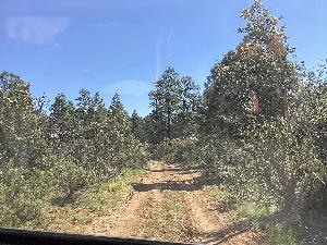 IMG_0092.jpg