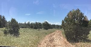 IMG_0107.jpg