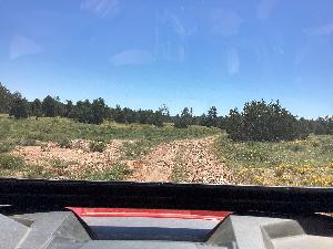 IMG_0109.jpg