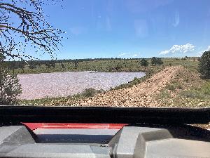 IMG_0110.jpg