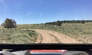 IMG_0113.jpg