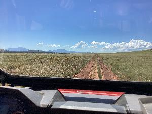 IMG_0118.jpg