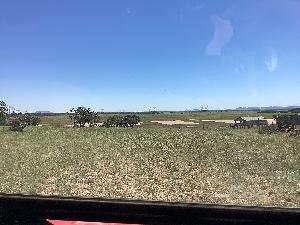 IMG_0119.jpg