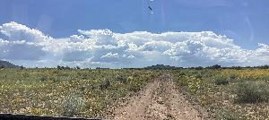 IMG_0128.jpg