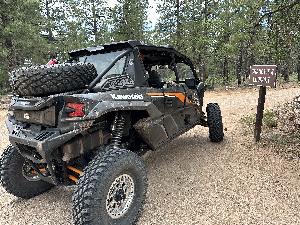 IMG_2450.jpg