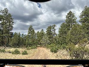 IMG_2499.jpg