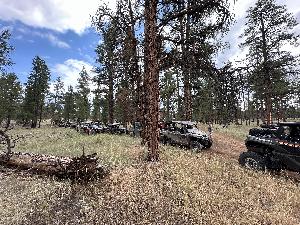 IMG_2501.jpg