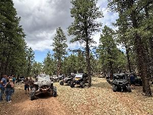IMG_2516.jpg