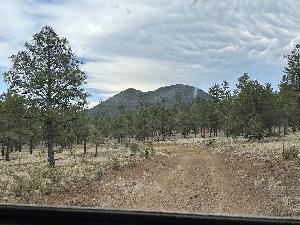 IMG_2518.jpg