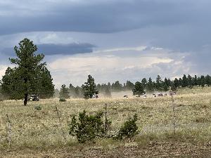 IMG_2522.jpg